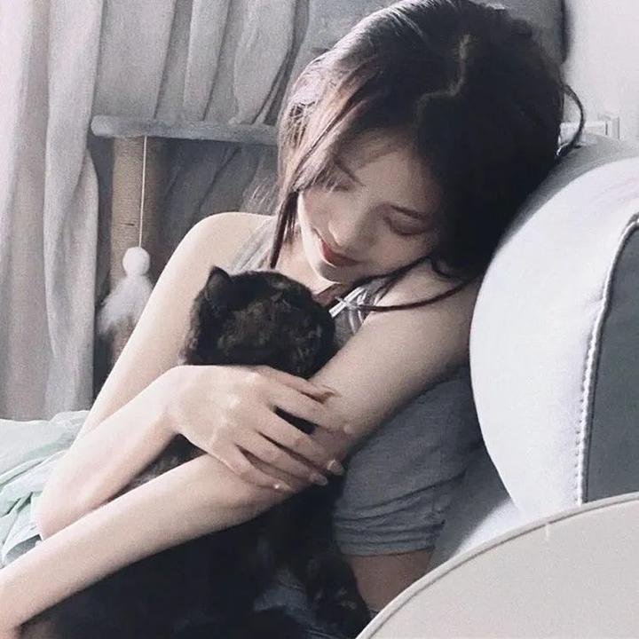 热铁皮屋顶上的猫